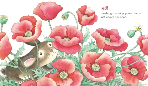 what does bunny see? a book of colors and flowers